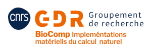 logo_gdr_biocomp.jpg